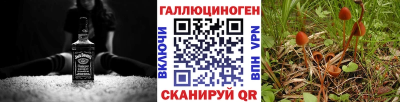 Купить где  Михайлов  Галлюциногенные грибы Cubensis 